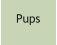 Pups