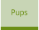 Pups
